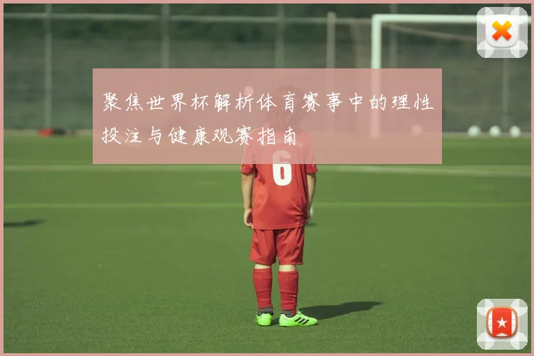 聚焦世界杯解析体育赛事中的理性投注与健康观赛指南
