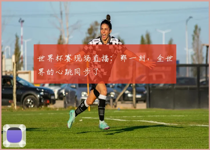 世界杯赛现场直播：那一刻，全世界的心跳同步了