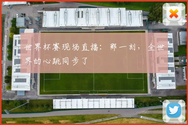 世界杯赛现场直播：那一刻，全世界的心跳同步了