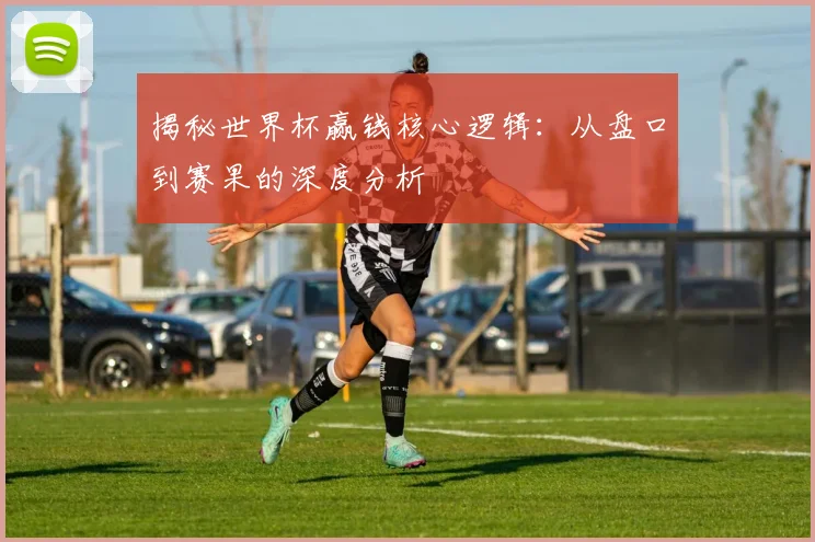 揭秘世界杯赢钱核心逻辑：从盘口到赛果的深度分析