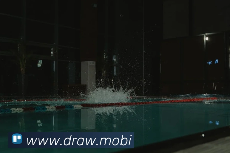 云开体育app网页入口平台生态图