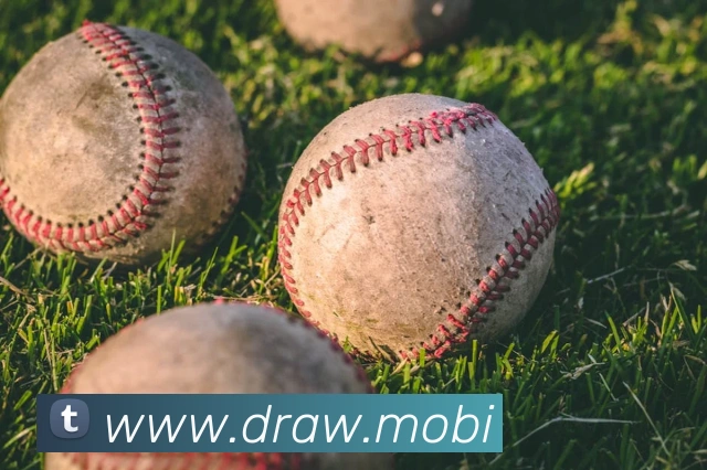 云开体育app网页入口全站App